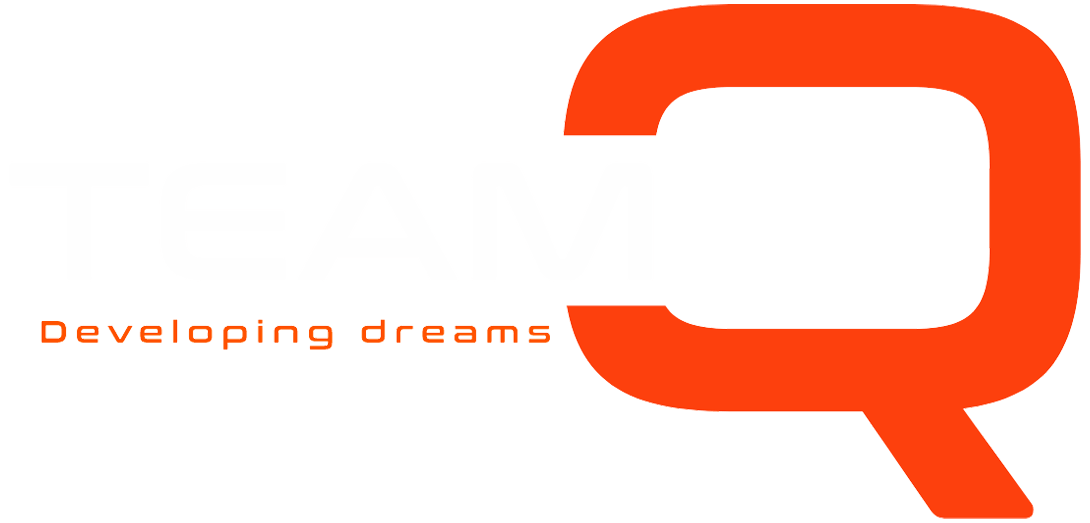 Logo TeamQ